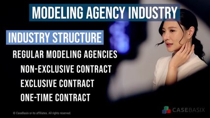Modeling Agency Industry