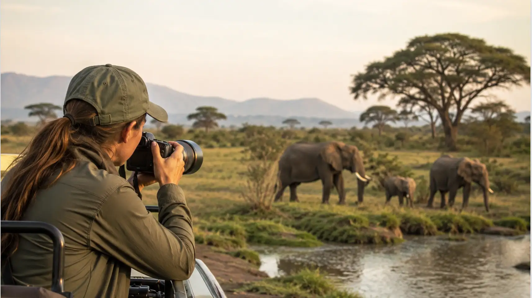 Wild Life Industry