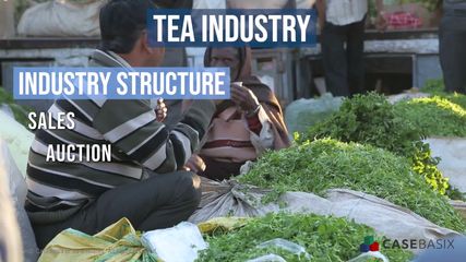 Tea Industry