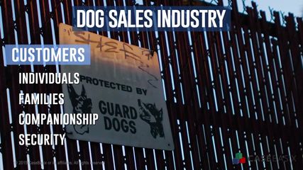 Dog Sales Industry