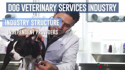 Dog Veterinary Services Industry