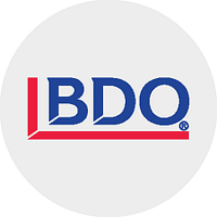 BDO Consulting