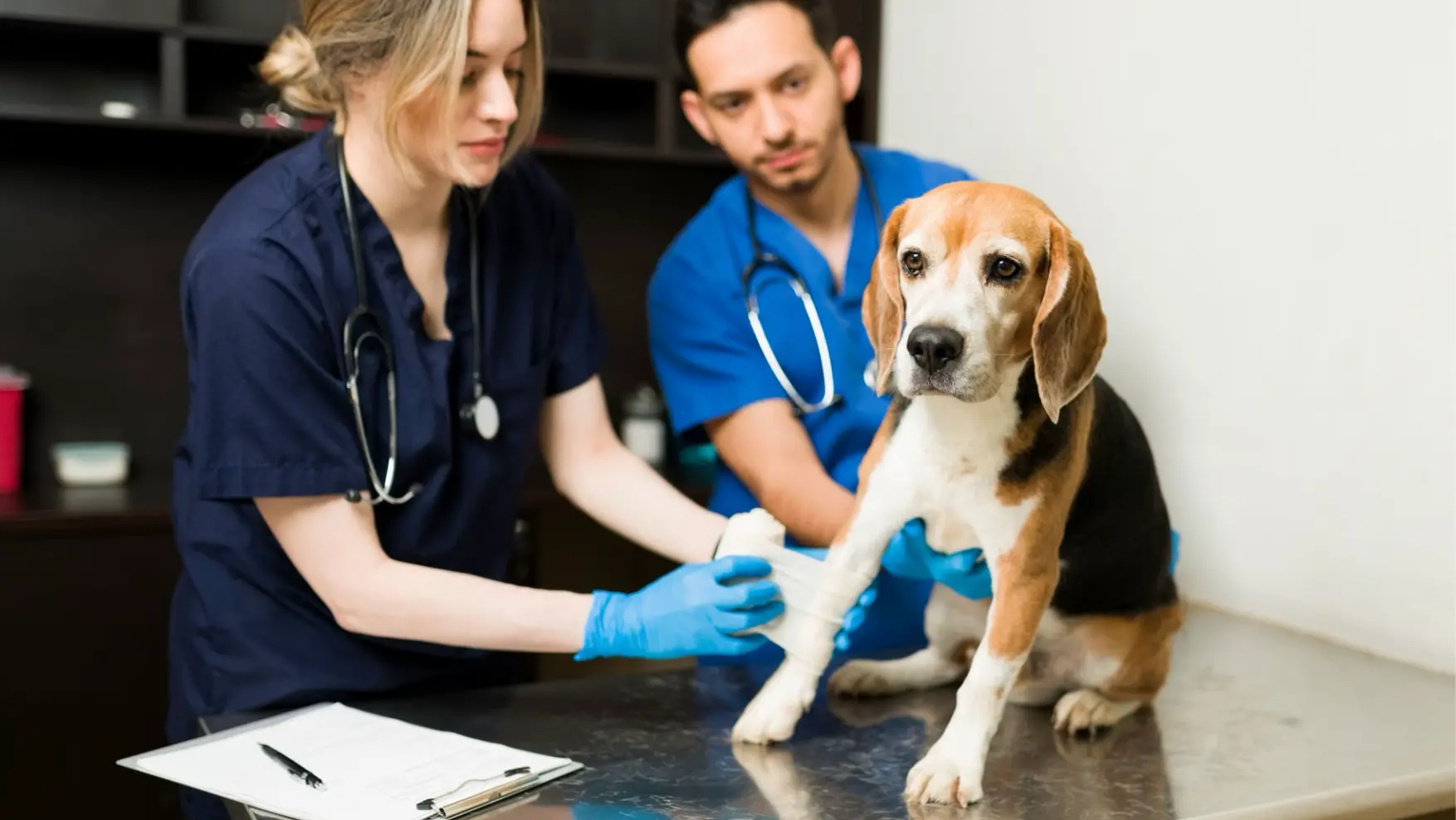 PetCheck Health Co.
