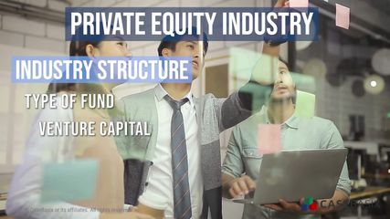 Private Equity Industry