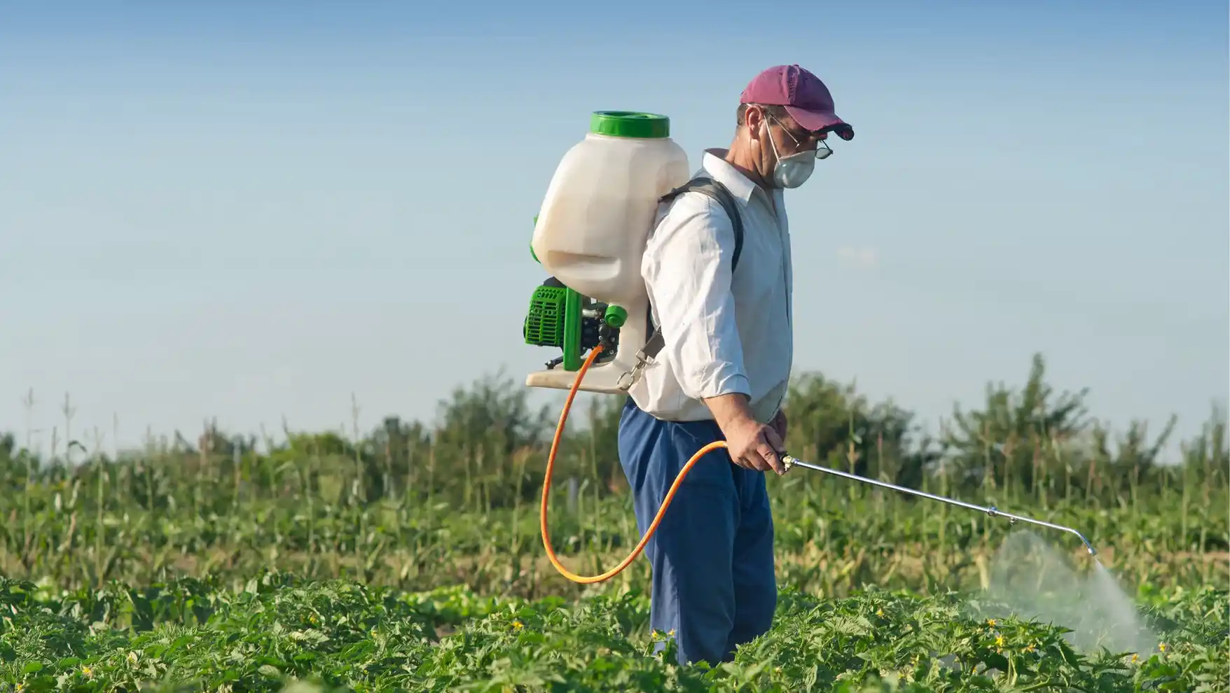 Alluvia Crop Science